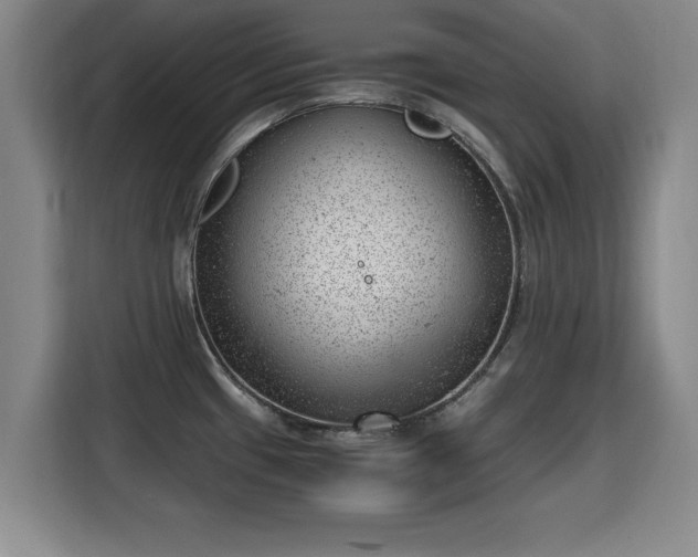 X0000115681433200911191045