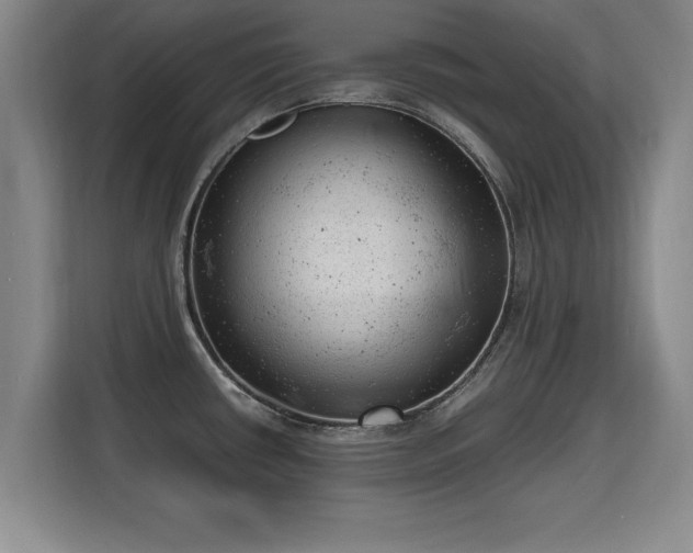 X0000115681434200911191045