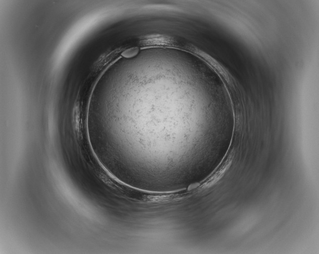 X0000115681438200911191045