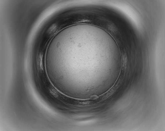 X0000115681439200911191045