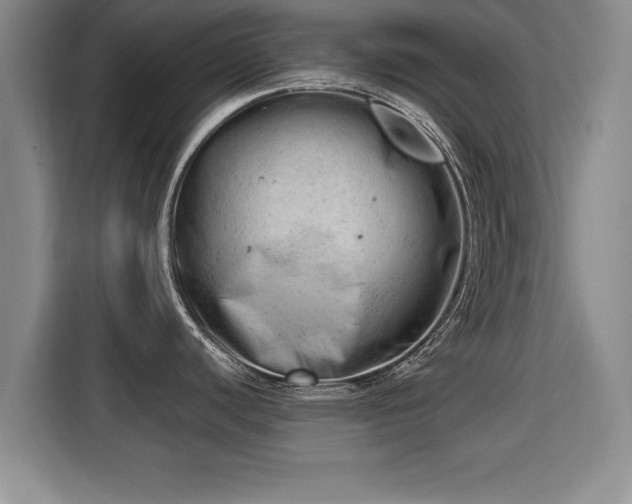 X0000115681440200911191045