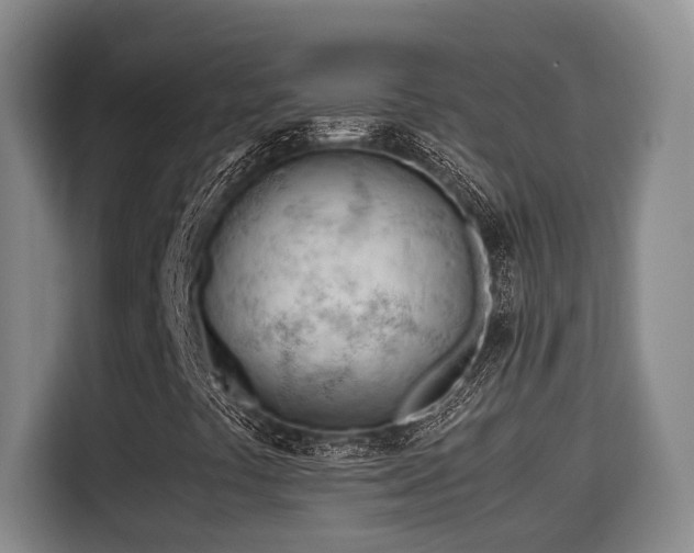 X0000115681441200911191044