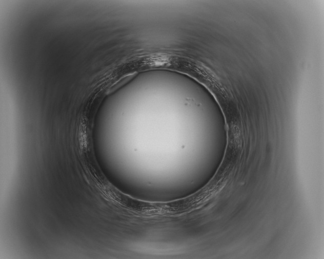 X0000115681442200911191044