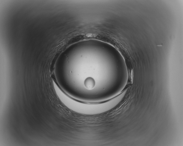 X0000115681443200911191044