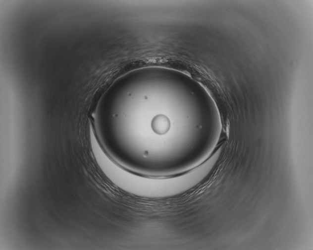 X0000115681444200911191044