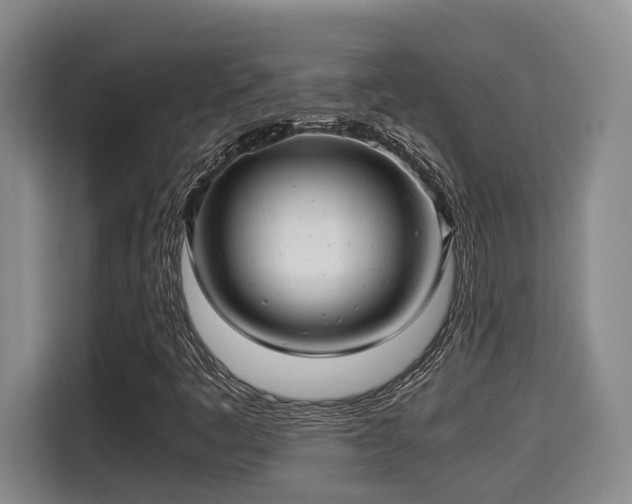 X0000115681445200911191044