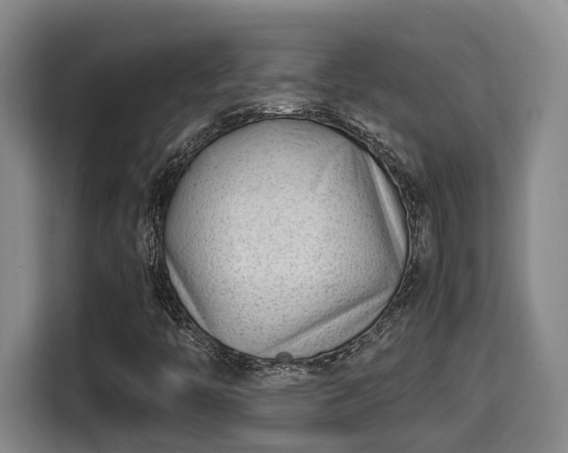 X0000115681446200911191044