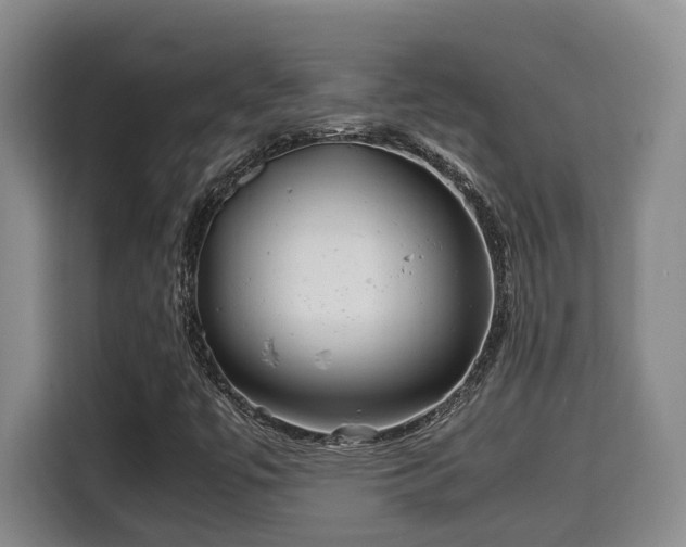 X0000115681447200911191044