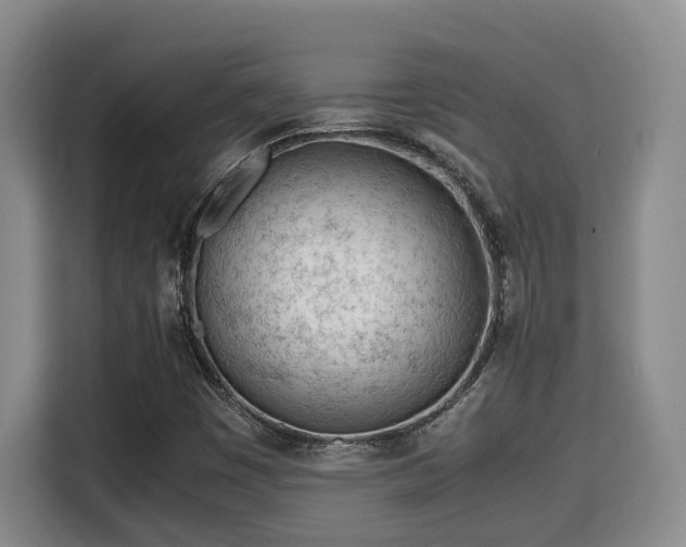 X0000115681449200911191044