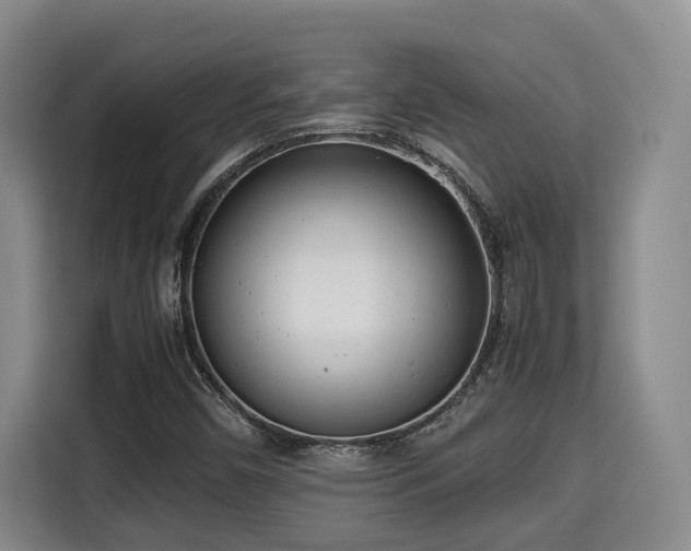 X0000115681450200911191044