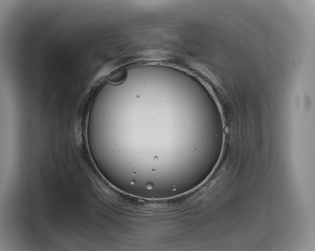 X0000115681451200911191044