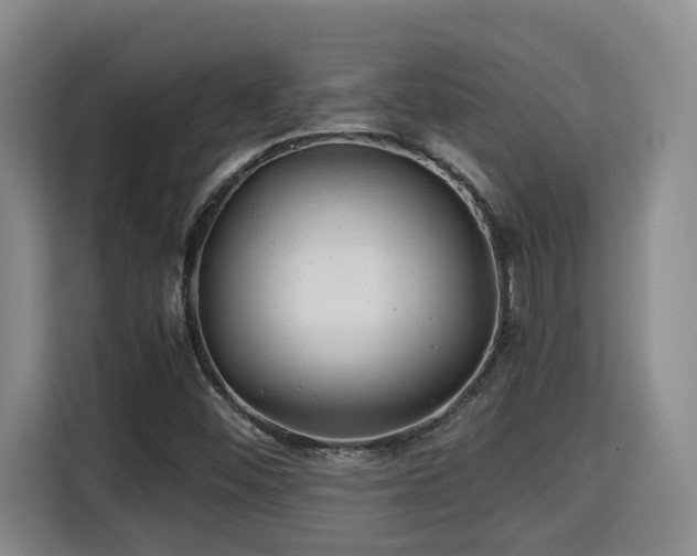 X0000115681452200911191044