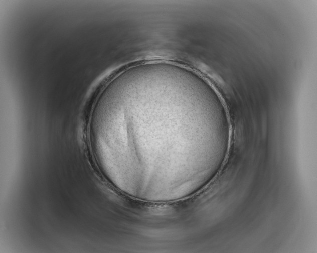 X0000115681454200911191044