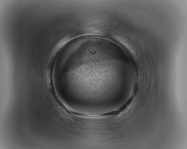 X0000115681455200911191044