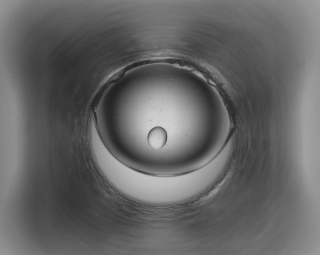 X0000115681457200911191044