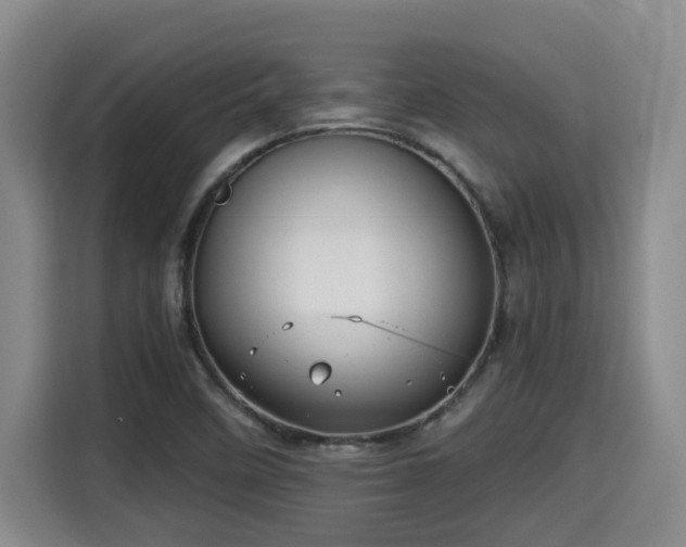 X0000115681458200911191044