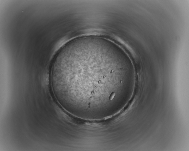 X0000115681459200911191044