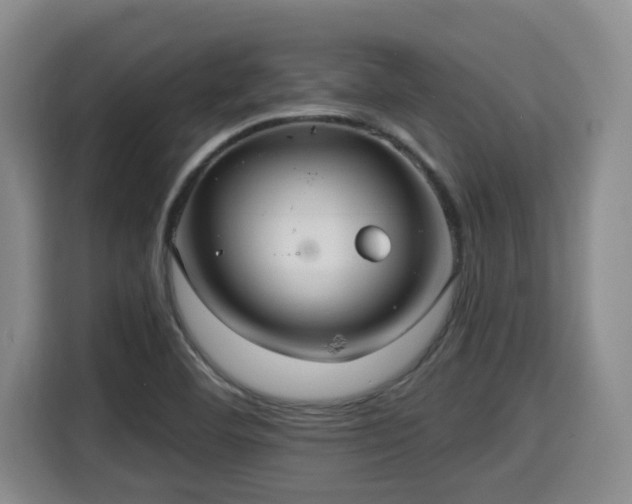 X0000115681460200911191044