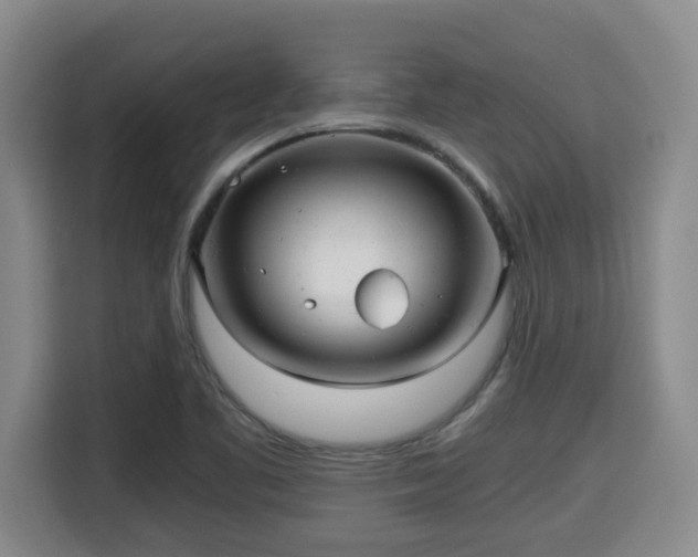 X0000115681461200911191044