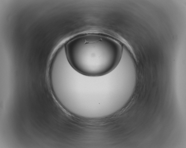 X0000115681464200911191044