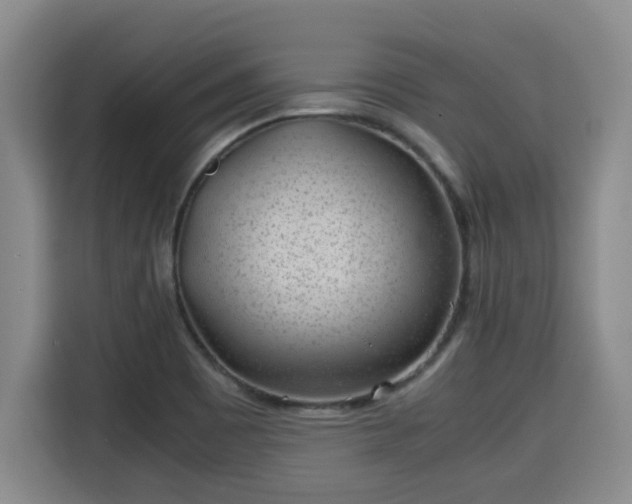 X0000115681465200911191044