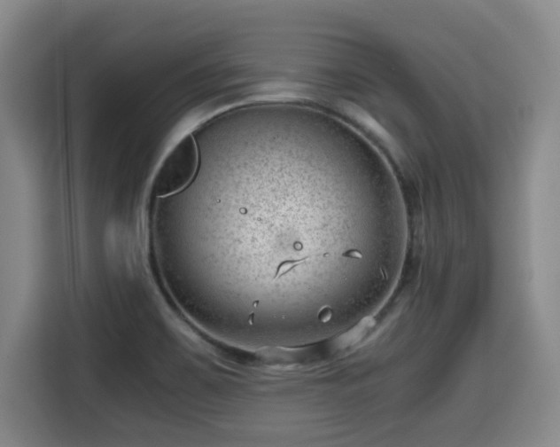 X0000115681467200911191044