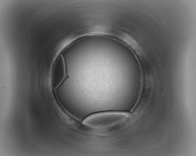 X0000115681469200911191044