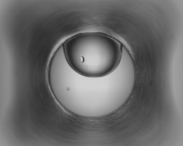 X0000115681472200911191044