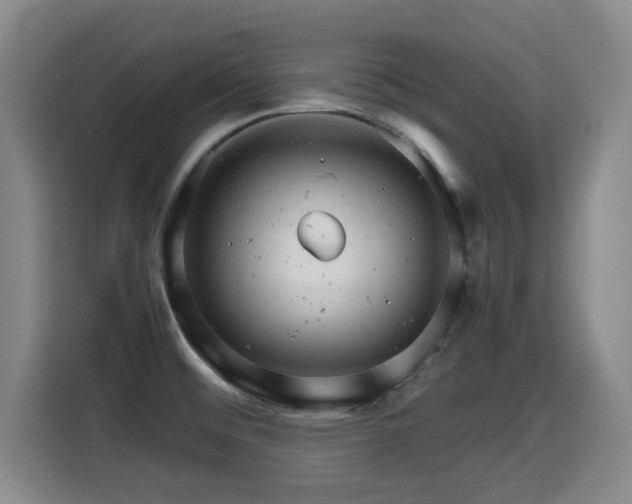 X0000115681476200911191044