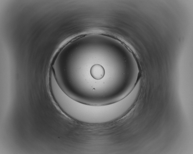 X0000115681477200911191044