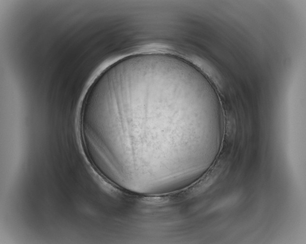 X0000115681478200911191044