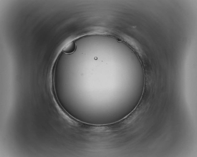 X0000115681479200911191044