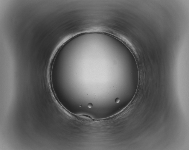 X0000115681480200911191044