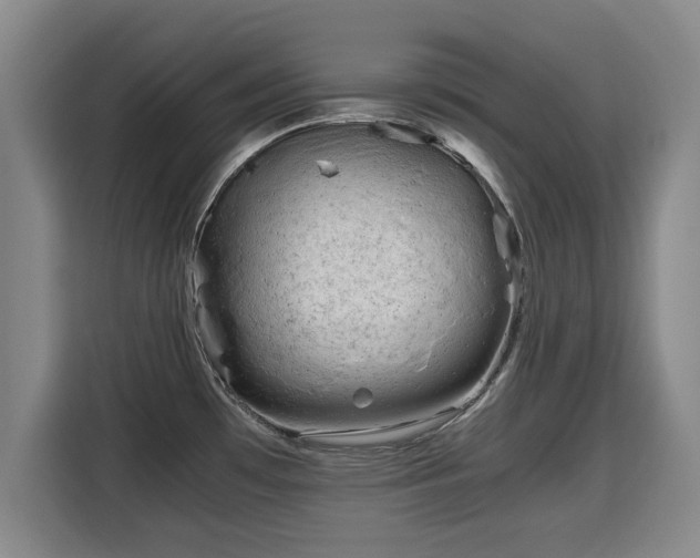 X0000115681481200911191044