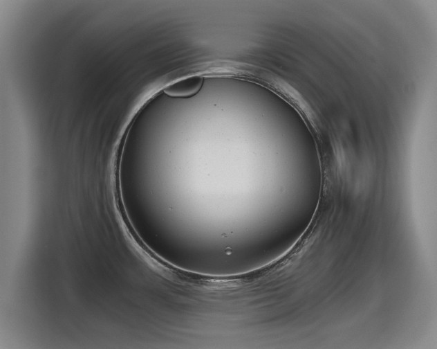 X0000115681483200911191044