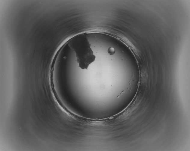 X0000115681484200911191044