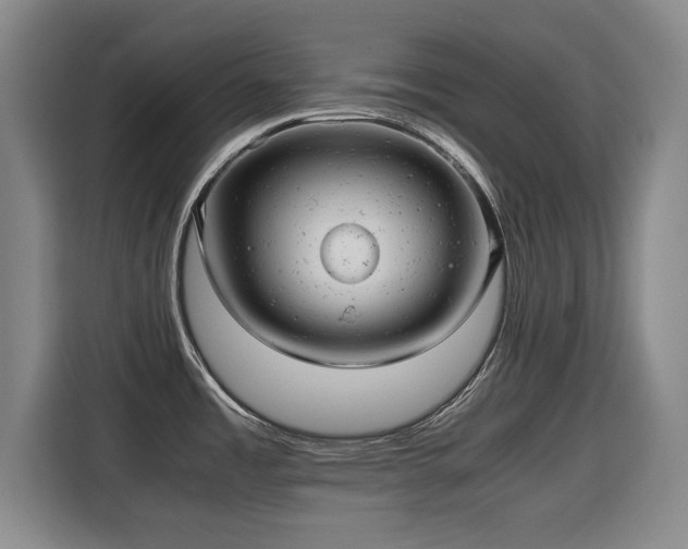 X0000115681485200911191044