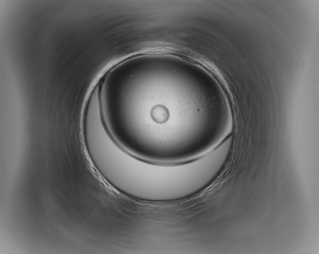 X0000115681488200911191044