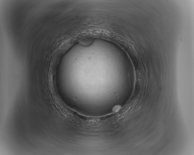 X0000115681489200911191043