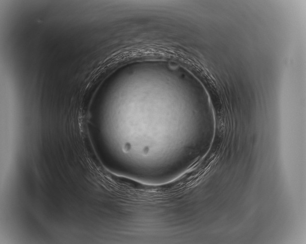 X0000115681490200911191043