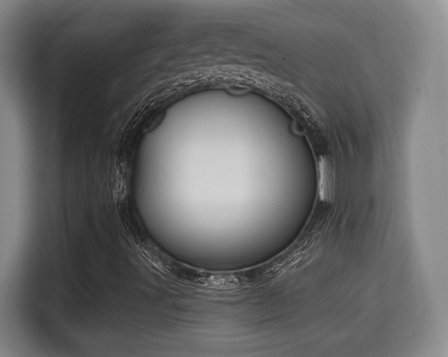 X0000115681491200911191043