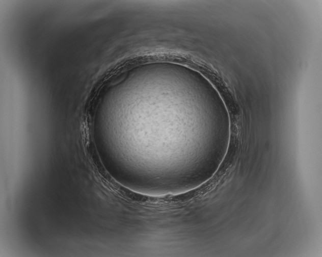 X0000115681493200911191043