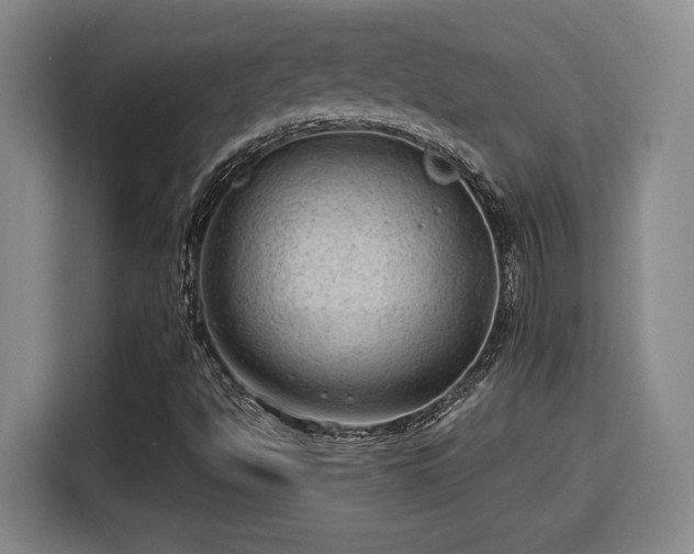 X0000115681494200911191043