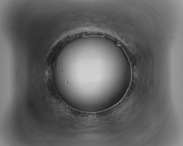 X0000115681495200911191043