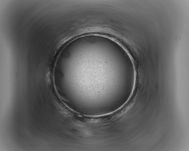 X0000115681497200911191043