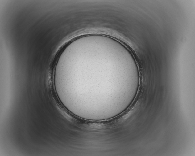 X0000115681498200911191043