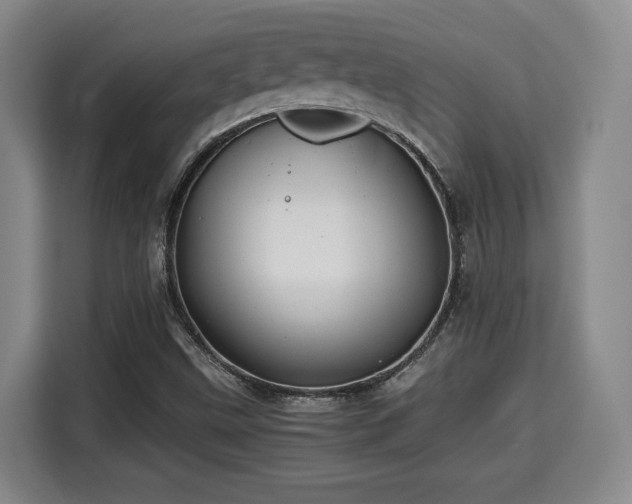 X0000115681499200911191043