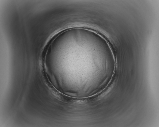 X0000115681501200911191043