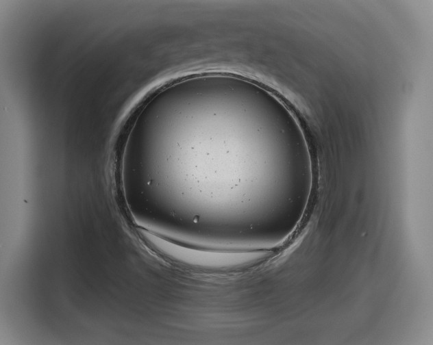 X0000115681502200911191043