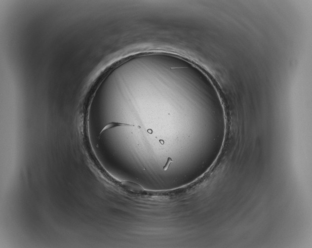 X0000115681503200911191043